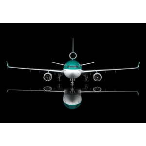 Model McDonnell Douglas MD11 Aer Lingus