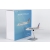 Model Boeing 737MAX8 American 1:200 NG Models
