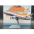 Model Douglas DC10-10 AMERICAN 1:200 N111AA OSTATNI